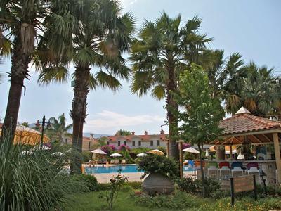 Hotelgarten mit Palmen, Pool, Sonnenschirmen und einer überdachten Sitzgelegenheit bei klarem Himmel.