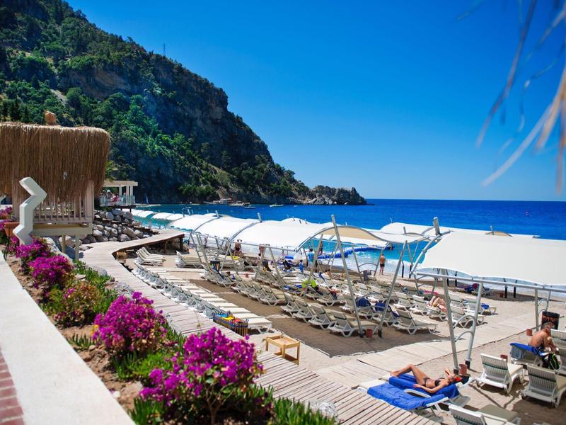 Strand mit Liegestühlen, weißen Sonnenschirmen und blühenden Sträuchern vor bewaldetem Hügel.