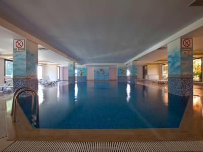 Indoor swimming pool with blue water and decorated walls in a hotel.