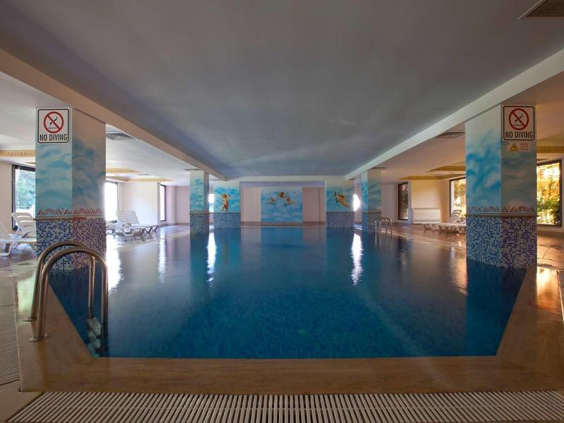 Indoor swimming pool with blue water and decorated walls in a hotel.
