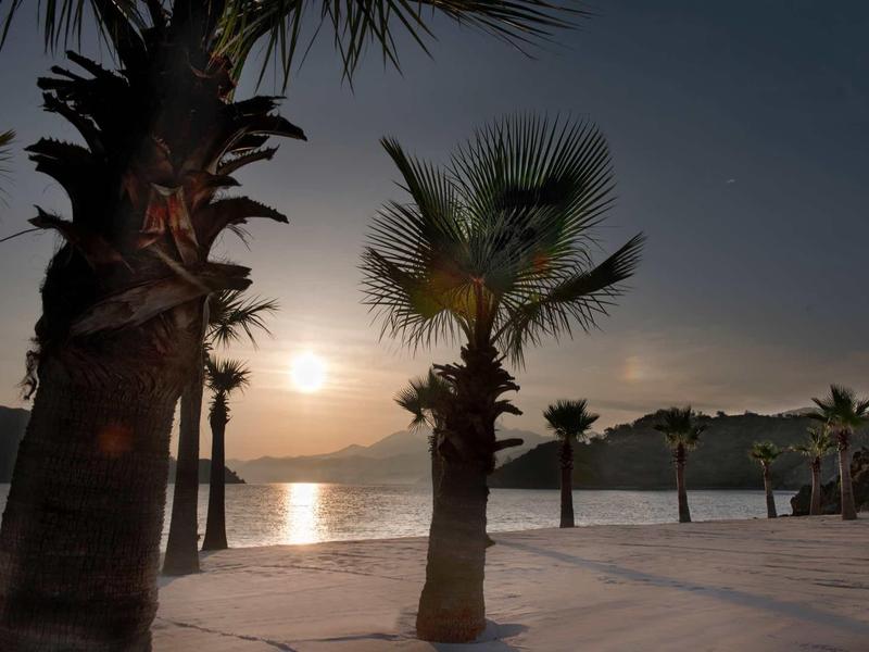 Západ slunce na pláži s palmami a klidným mořem.