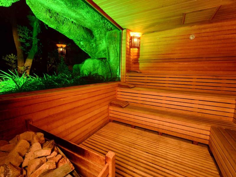 Sauna mit Holzbänken und Saunaofen, durch Fenster grüner Baum bei Nacht sichtbar.