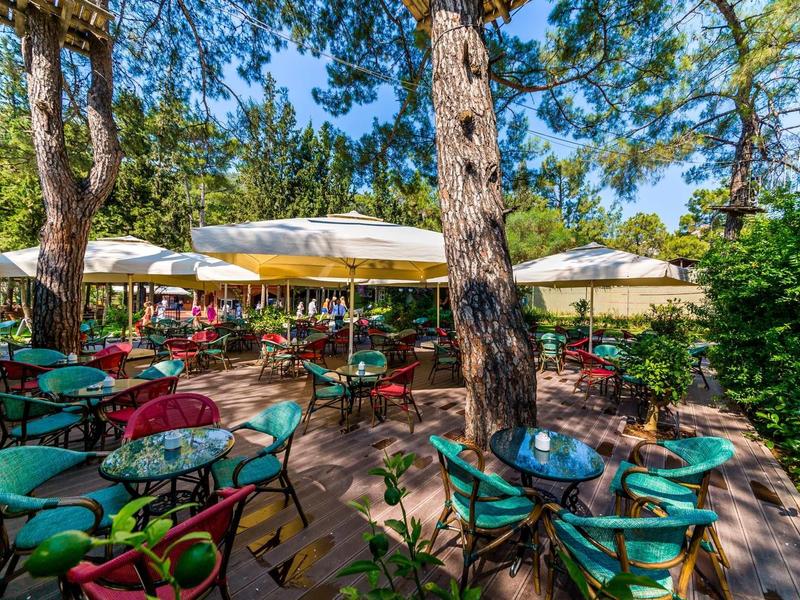 Terrassen-Café mit bunten Stühlen, Sonnenschirmen und hohen Bäumen im Hintergrund.