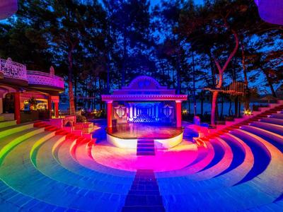 Anfiteatro al aire libre iluminado con luces de colores, con filas de asientos semicirculares y escenario en un parque.