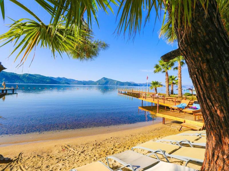 Plage de sable avec chaises longues et palmier à côté d'eau calme et ciel bleu clair.