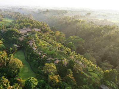 Grüner Hügel mit vielen Bäumen und einzelnen Gebäuden in nebliger, heller Morgenstimmung.
