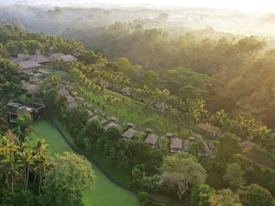 Luftaufnahme eines grünen, terrassierten Hügels mit Reihen von Häusern und dichtem Wald im Hintergrund.