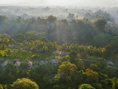 Landschaft mit dichtem Wald und Häusern im Nebel, Sonnenstrahlen durchdringen das Blätterdach.