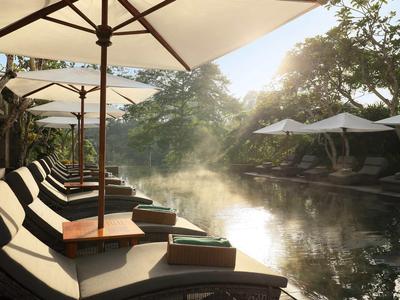 Lounge-Stühle unter weißen Sonnenschirmen neben einem ruhigen Pool mit Sonnenlicht und Bäumen.