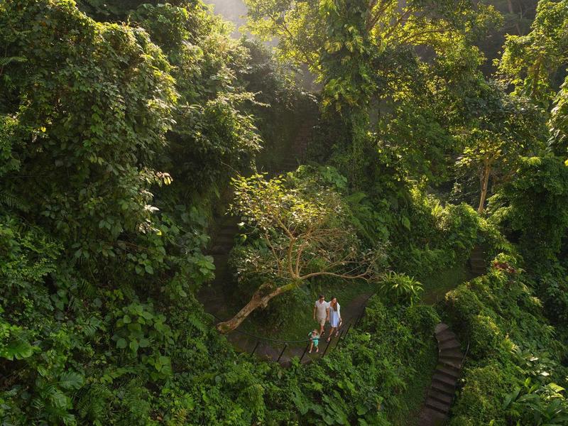 Zwei Personen stehen auf einem kleinen Pfad umgeben von dichtem, grünem Wald mit hohen Bäumen.