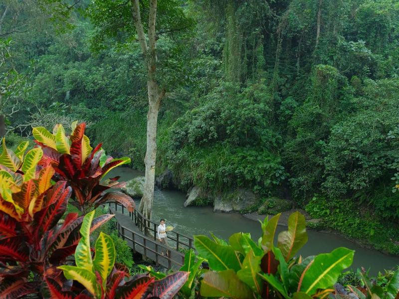 Fluss mit grünem Wasser, umgeben von dichter grüner Vegetation und bunten tropischen Pflanzen.