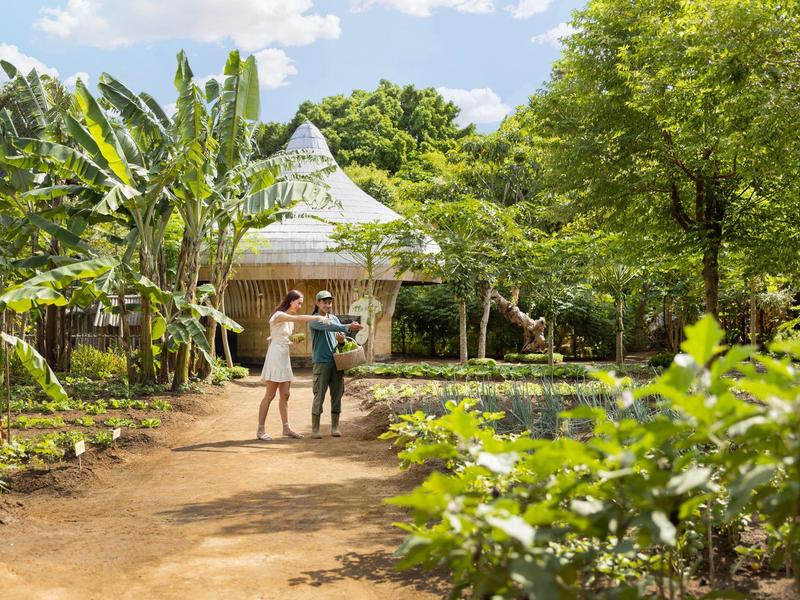 Twee mensen lopen over een pad naar een huis met een wit dak omgeven door groene begroeiing.