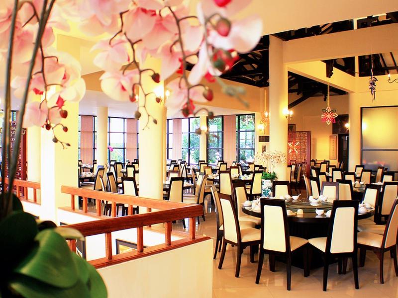 Salle à manger lumineuse avec de nombreuses tables et chaises, décorée d'orchidées.