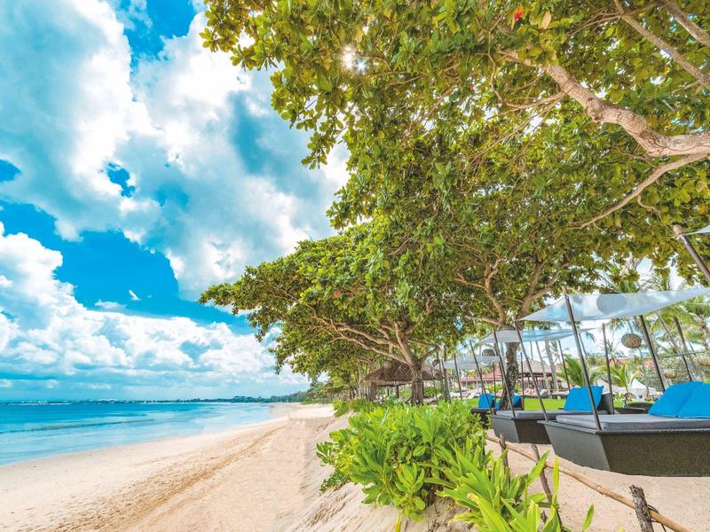 A tropical beach with white sand, palm trees, and blue loungers under trees.