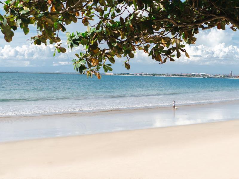 Empty sandy beach with calm sea and tree branches in the foreground.