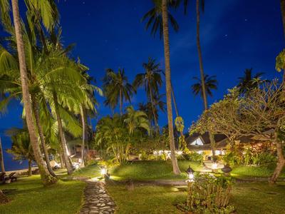 Tropischer Garten bei Nacht mit beleuchtetem Weg, hohen Palmen und blauem Himmel.