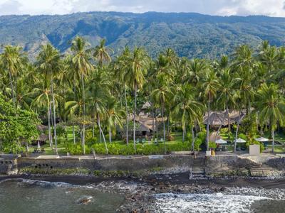 Dichte Palmen am felsigen Küstenstreifen mit Bergen im Hintergrund und blauem Himmel.