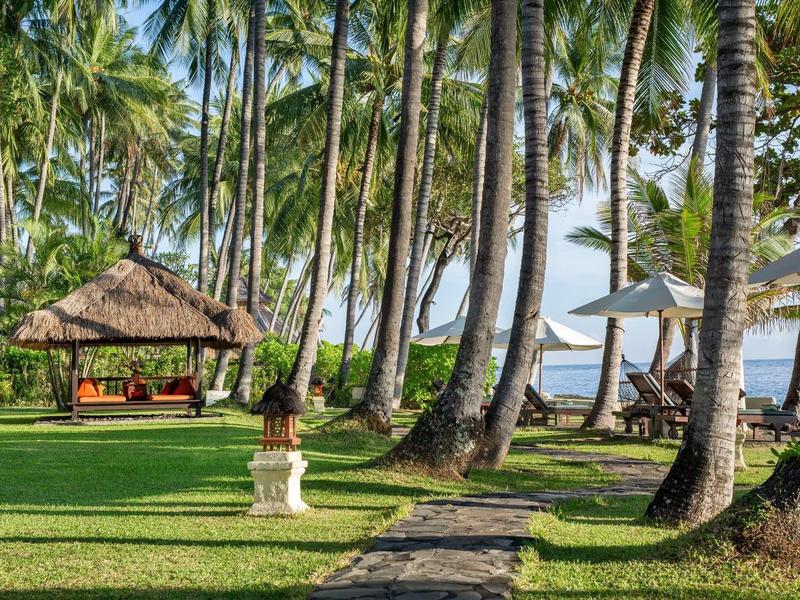 Grüne Wiese mit hohen Palmen, Liegestühlen und einem Strohdach-Pavillon am Meer.
