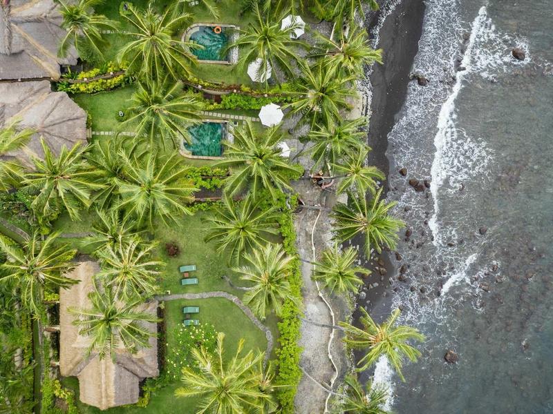 Luftaufnahme einer tropischen Küste mit grünen Palmen, Häusern und schwarzem Sandstrand.
