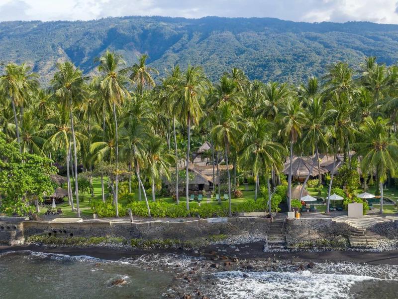 Dichte Palmen am felsigen Küstenstreifen mit Bergen im Hintergrund und blauem Himmel.