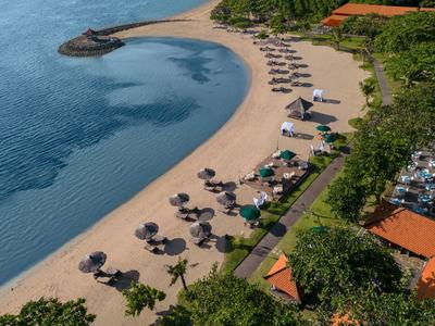 Vue aérienne d'une plage avec des parasols, des chaises longues et une côte près des arbres verts.