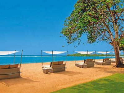 Playa de arena con tumbonas bajo sombrillas blancas y árbol frente al cielo azul y el mar.