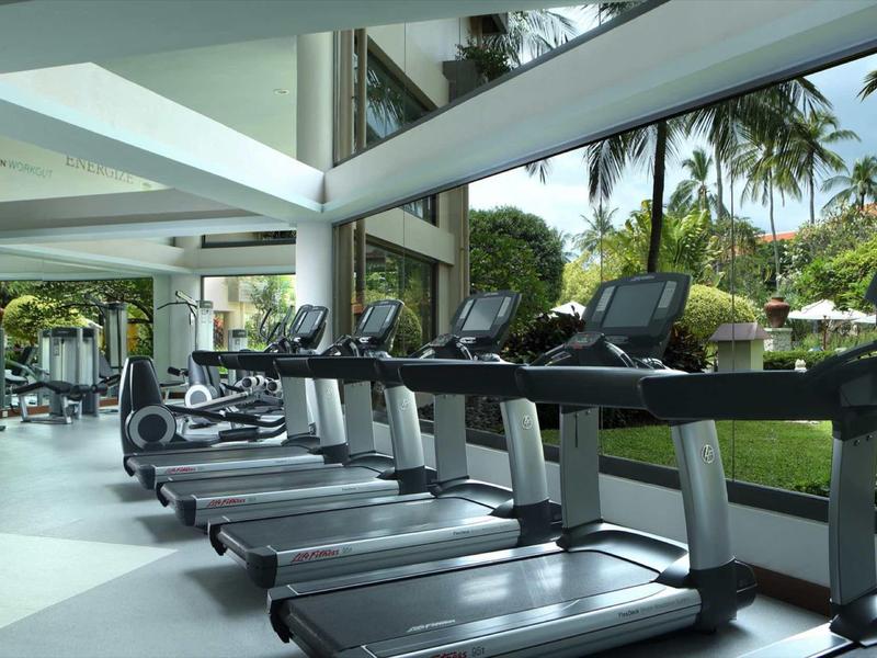 Gimnasio con cintas de correr y grandes ventanas con vista a palmeras y césped.