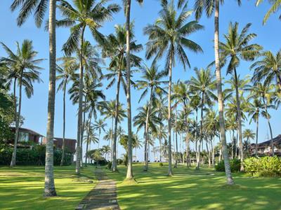 Grüner Park mit hohen Palmen, Rasenfläche und einem schmalen Weg zwischen Wohnhäusern.