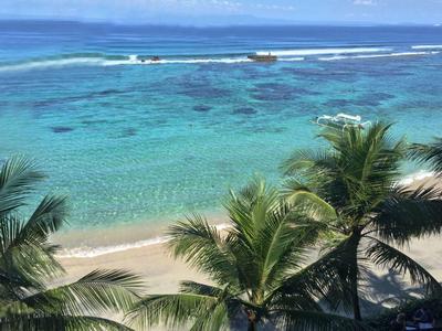 Türkisblaues Meer und Sandstrand mit grünen Palmen im Vordergrund unter blauem Himmel.