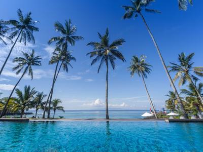 Piscina con vista sul mare e palme sotto un cielo azzurro limpido.