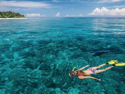 Una persona fa snorkeling in acque limpide e turchesi vicino a un'isola boscosa.