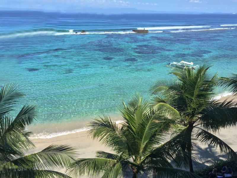 Türkisblaues Meer und Sandstrand mit grünen Palmen im Vordergrund unter blauem Himmel.