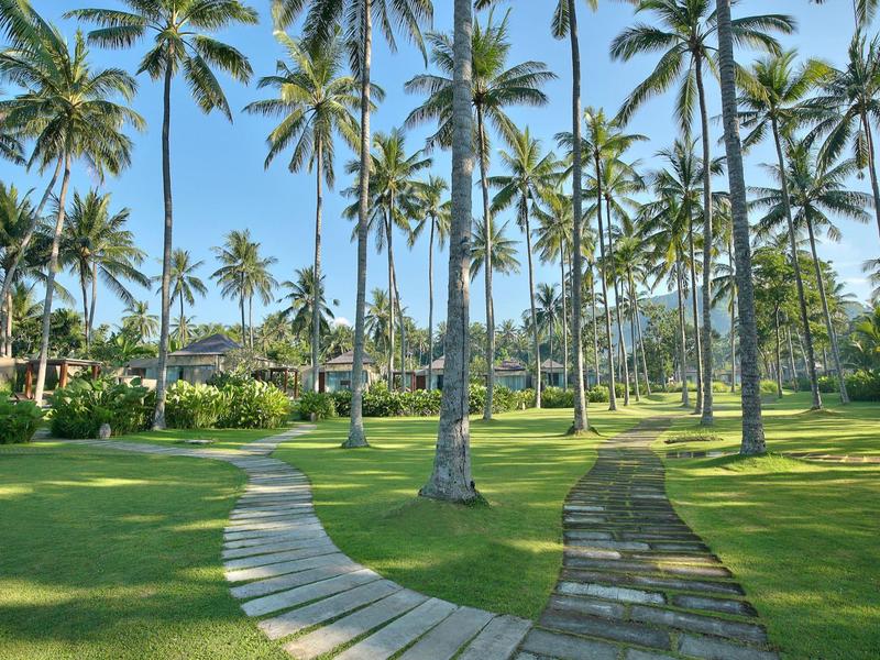 Zwei sich teilende Wege führen durch einen grünen Park mit zahlreichen hohen Palmen.