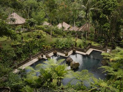 Nature-surrounded resort pool with stone deck and lush greenery
