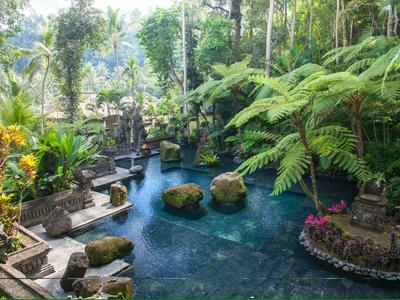 Tranquil tropical garden pool surrounded by lush greenery and stone pathways.