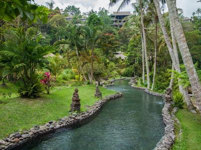 Tropical garden with palm trees and a winding stone-bordered stream.