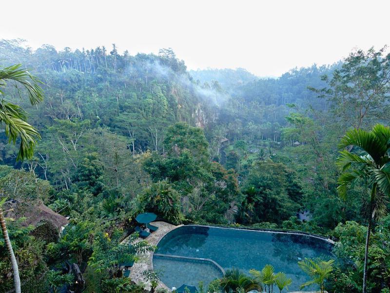 Resort pool surrounded by lush tropical forest and hills under a misty sky.