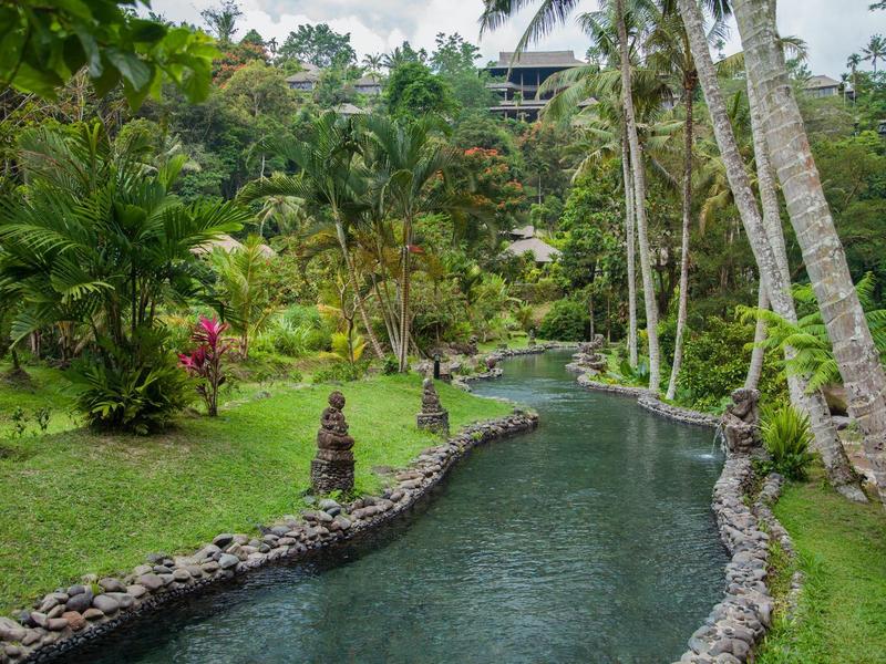 Tropical garden with palm trees and a winding stone-bordered stream.