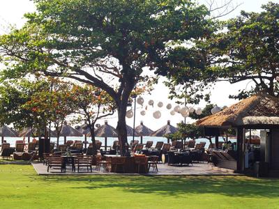 Area all'aperto rilassata con tavoli, sedie e ombrelloni sotto grandi alberi vicino all'acqua.