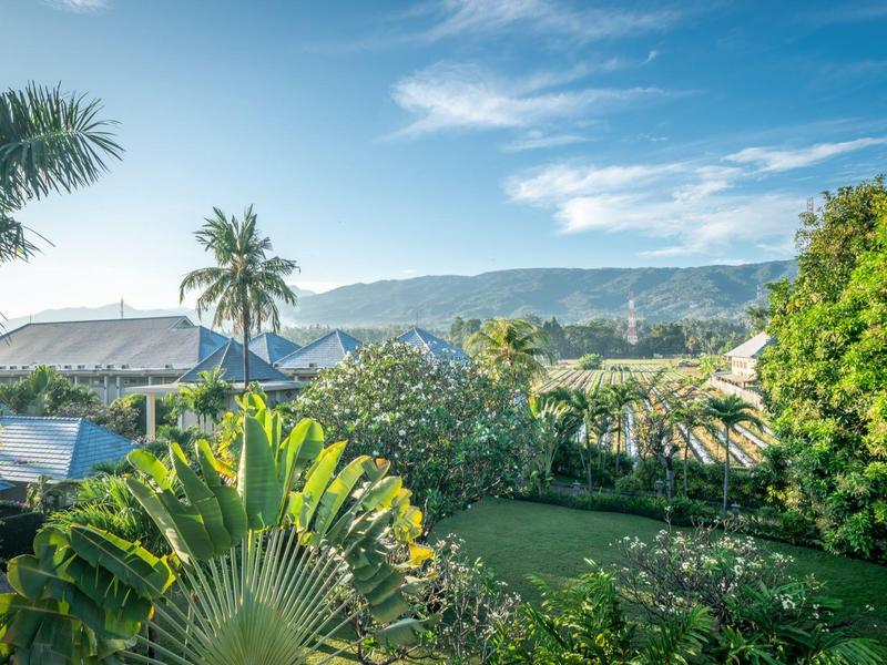 View of a tropical garden with palm trees and mountains in the background under a clear sky.