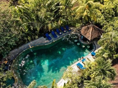 Aerial view of a tropical pool with lounge chairs and dense greenery.