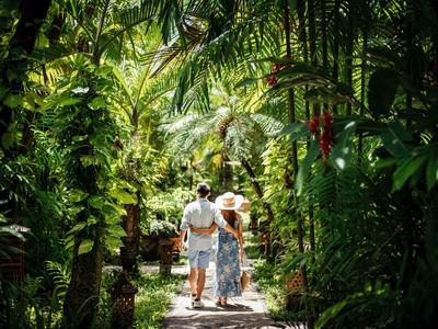 Para spacerująca wzdłuż tropikalnej, bujnej zielonej ścieżki ogrodowej z palmami.