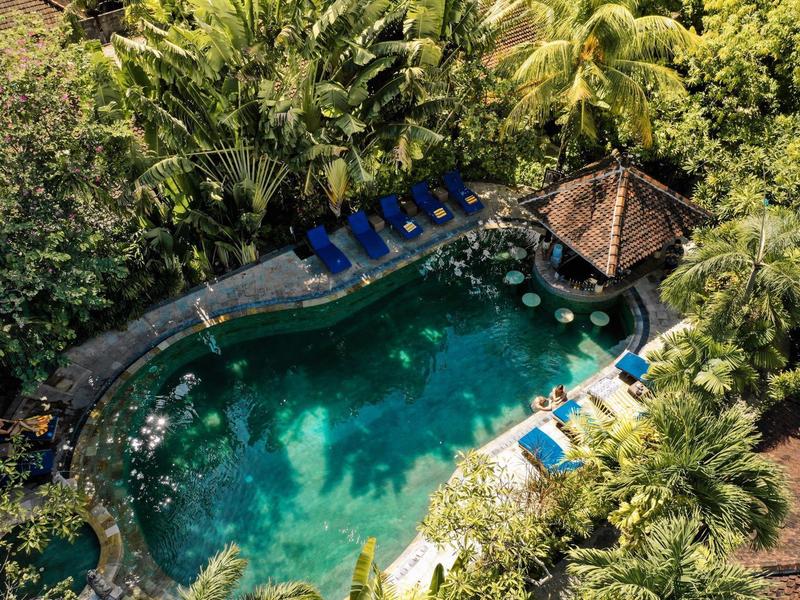 Basen z parasolami i leżakami otoczony gęstą tropikalną roślinnością.