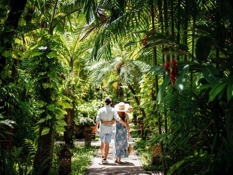 Para spacerująca wzdłuż tropikalnej, bujnej zielonej ścieżki ogrodowej z palmami.