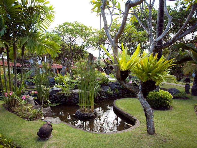 Giardino tropicale con albero, prato verde e stagno tranquillo al centro.