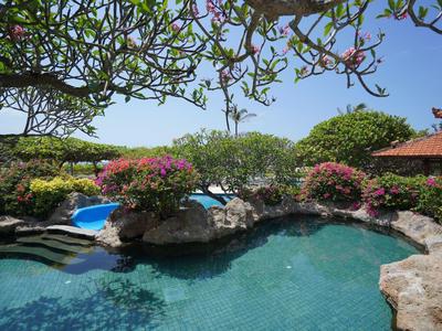 Piscine avec pierres naturelles, plantes en fleurs et ciel bleu en arrière-plan.