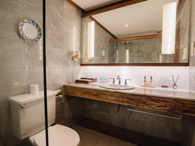 Baño moderno con tocador de madera, espejo grande e inodoro junto a la ducha de vidrio.