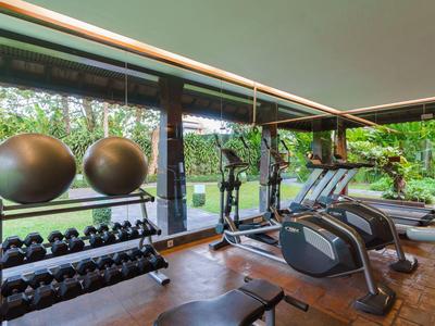 Modern gym with large windows overlooking the garden.