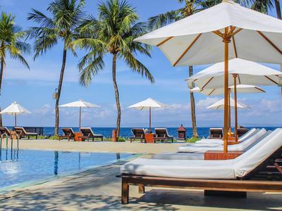 Relaxing pool area with lounge chairs and umbrellas beside palm trees and ocean view.