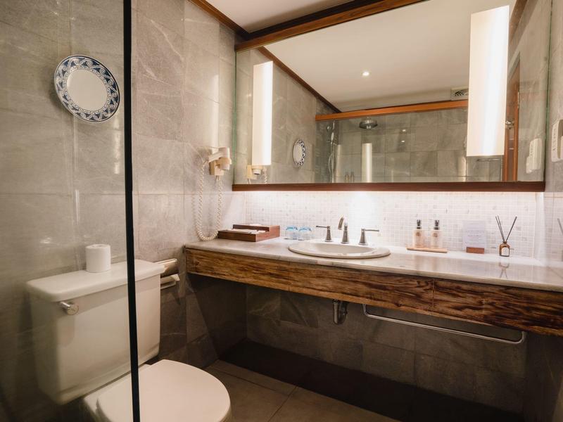 Baño moderno con tocador de madera, espejo grande e inodoro junto a la ducha de vidrio.